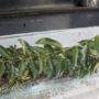 1hybristographie-detail5