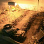 1thesadgarden-detail